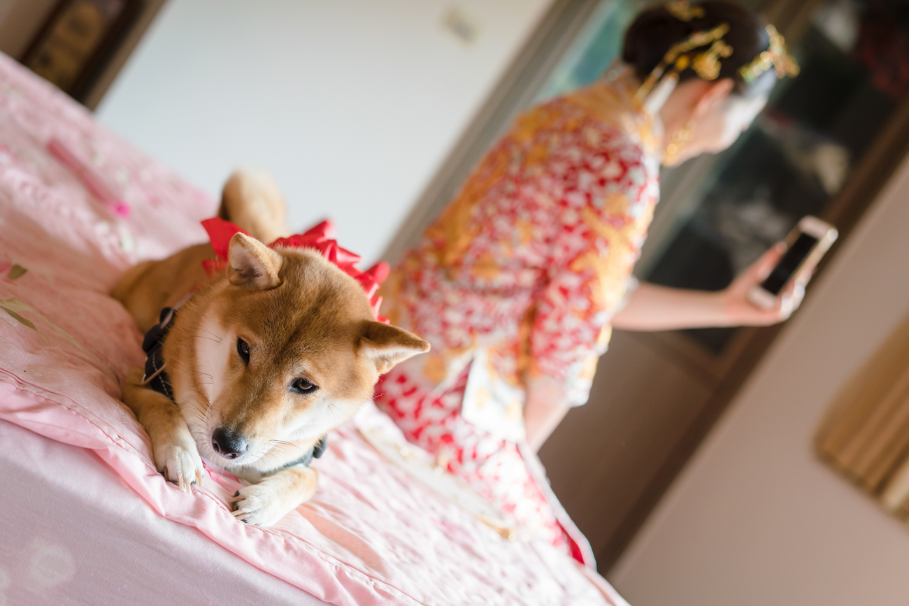 婚攝,新莊典華,婚攝子安,美式婚禮,推薦婚攝,喬治麥斯婚禮攝影