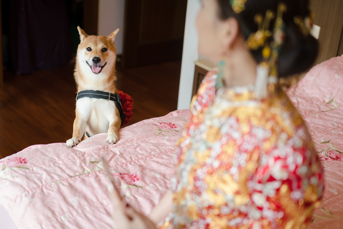 婚攝,新莊典華,婚攝子安,美式婚禮,推薦婚攝,喬治麥斯婚禮攝影