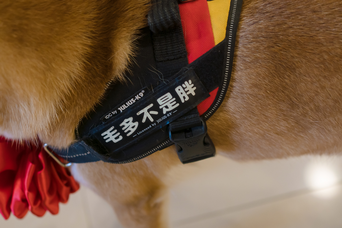 婚攝,新莊典華,婚攝子安,美式婚禮,推薦婚攝,喬治麥斯婚禮攝影