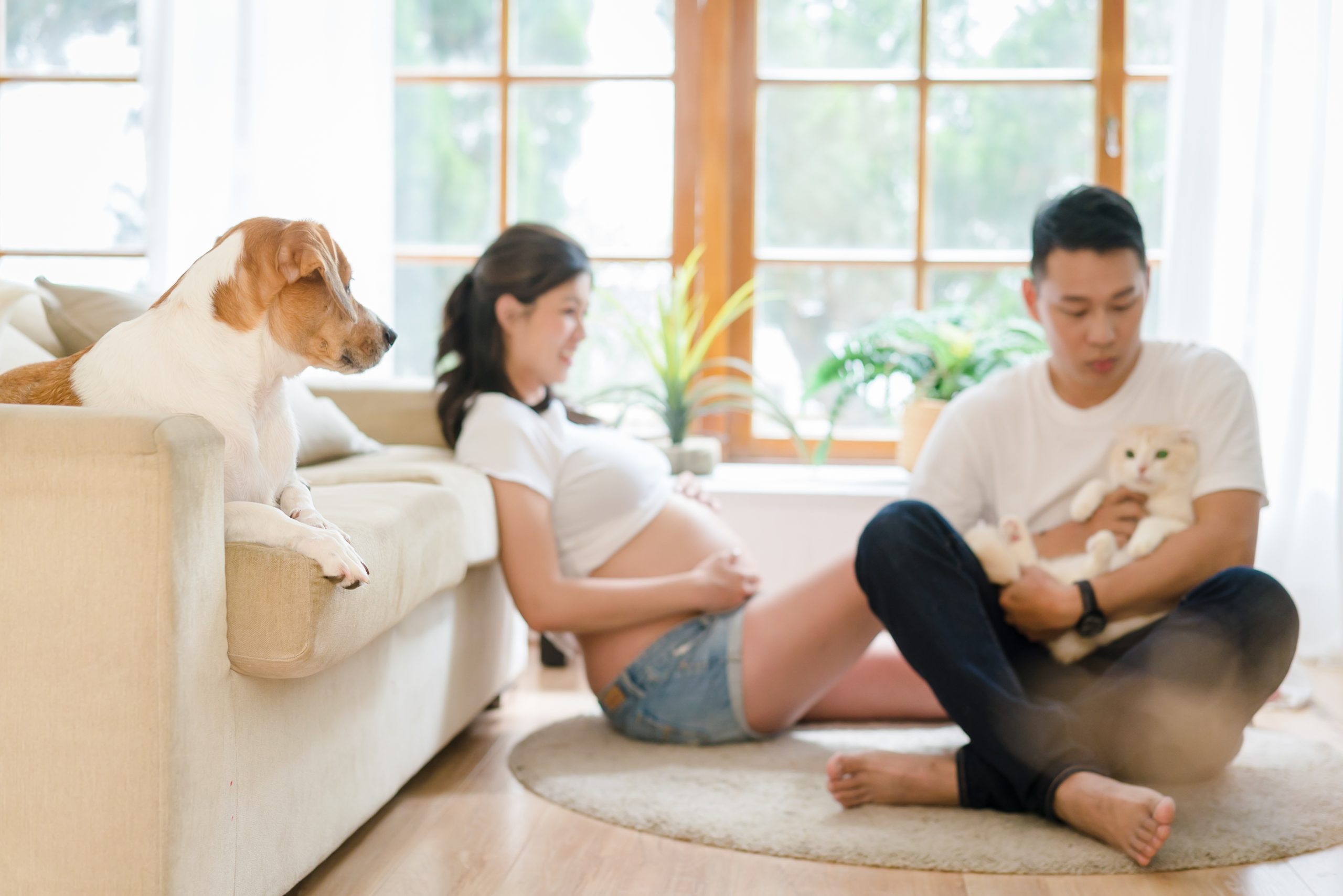 "孕婦寫真,孕婦照,婚攝子安,孕婦,pregnant,喬治麥斯家庭寫真,全家福